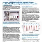 customer case study for pulsation dampening