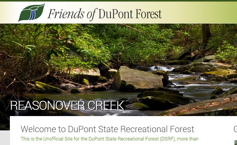 dupont state forest website