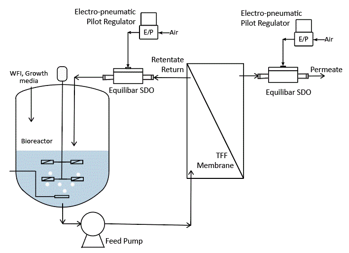 bioreactor with tangential flow filtration controlled by single use SDO