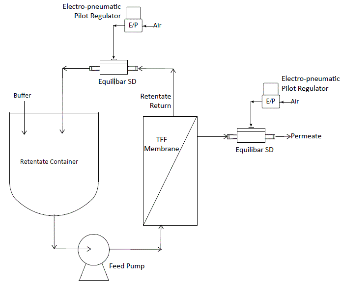Schematic of TFF process using Equilibar SDO regulator