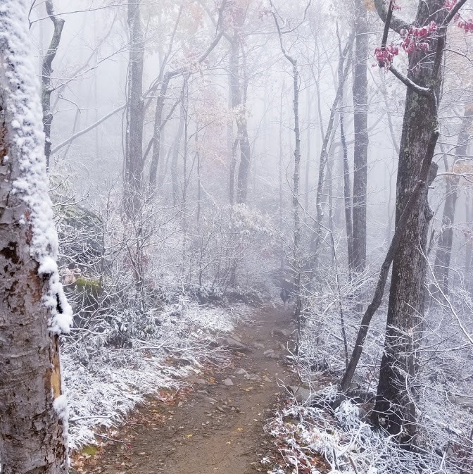 great smokies trail in snowy holidays