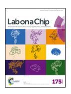 lab on a chip journal