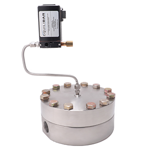 Equilibar GSDH8 Valve photo With QPV pilot controller