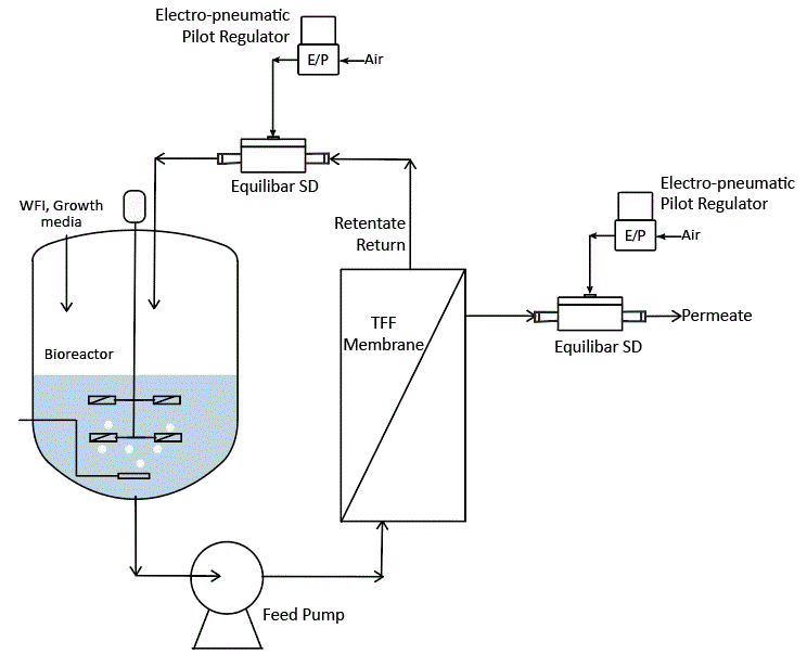 schematic of single use transflow filtration using Equilibar single use back pressure regulator